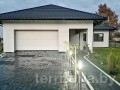 KIWI - фото 